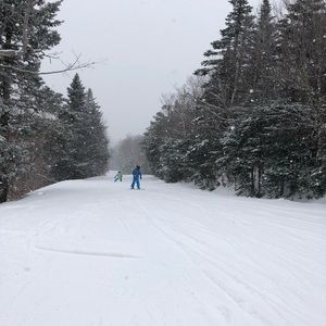 Meet your Posher, Laichun